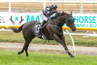 Karaka weanling purchase Windsor scored his third win in a row. Photo: Race Images South.